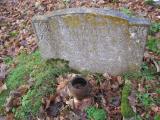 image of grave number 291648